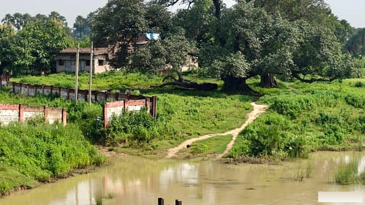 झारखंड की बारिश का यहां दिखा असर, पेमार नदी उफान पर; बच्चों की पढ़ाई प्रभावित गांवों का संपर्क भी टूटा