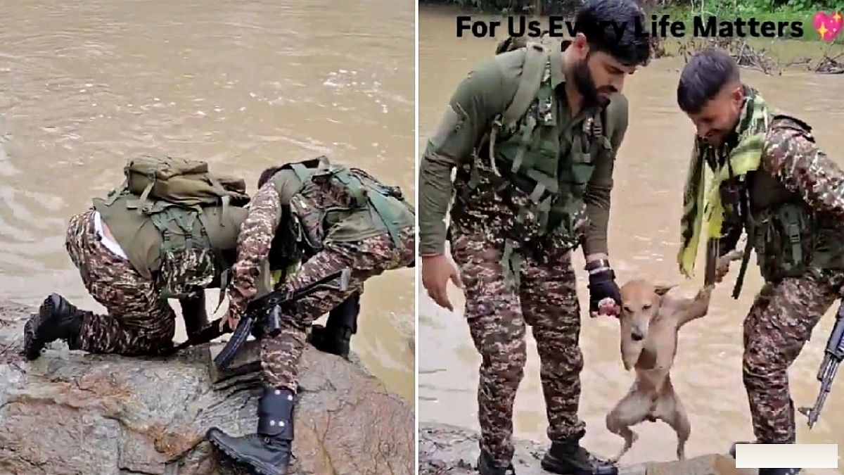 CRPF जवान ने तेज बहाव वाली नहर में फंसे कुत्ते को बचाया, वीडियो वायरल