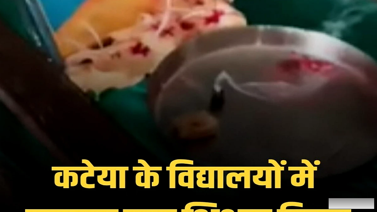 नंदपट्टी के विद्यालयों में छात्रों ने शिक्षकों को उपहार देकर किया सम्मानित