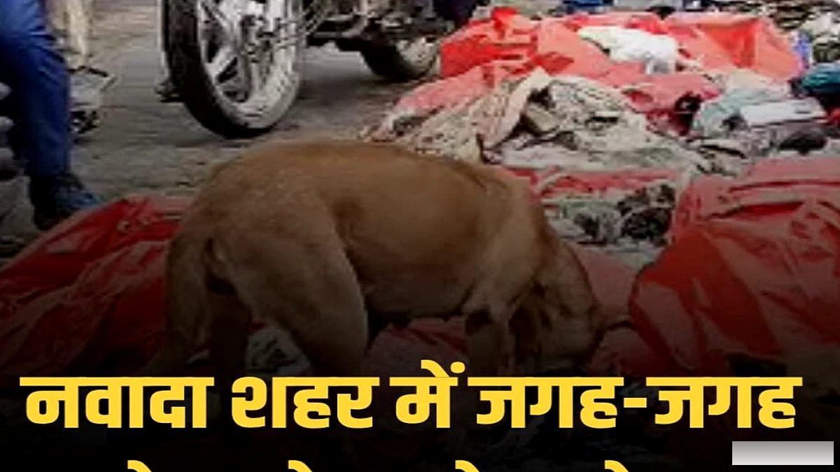 नवादा शहर में कचरा प्रबंधन की विफलता से नागरिकों में आक्रोश