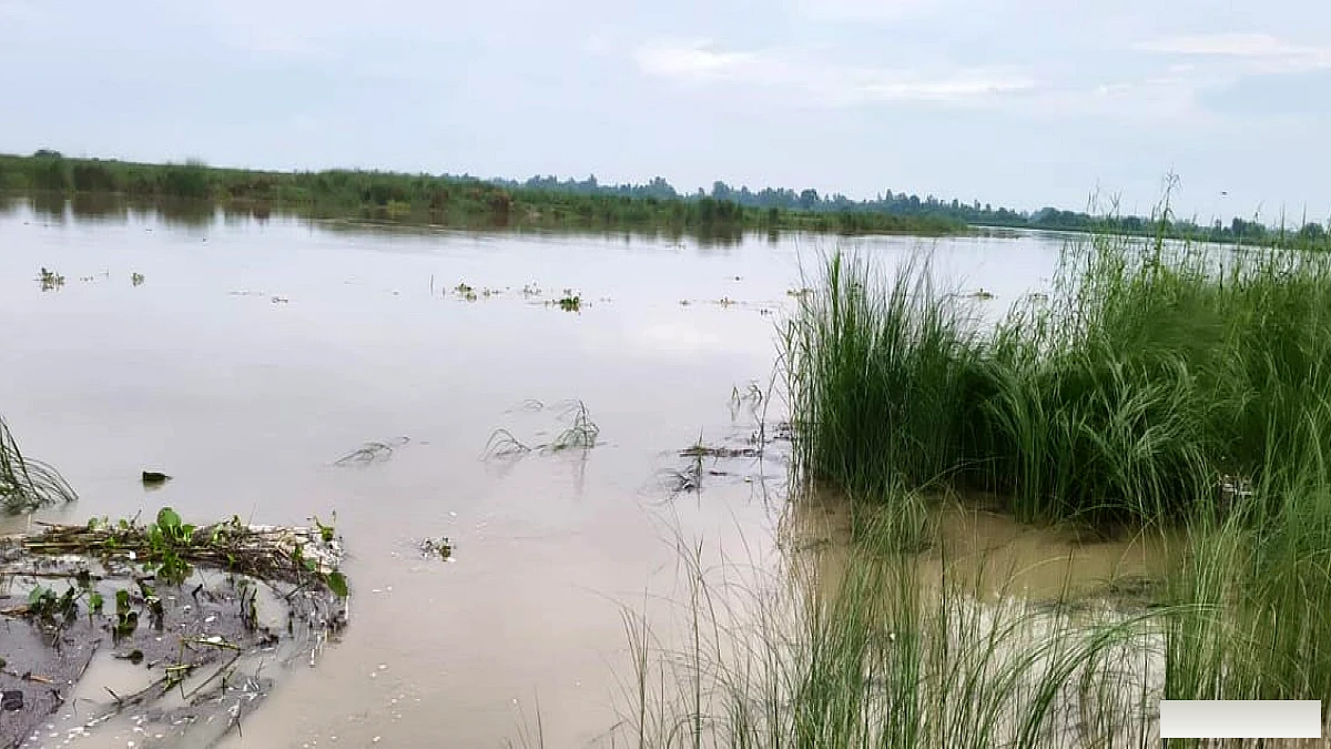 गंगा का जलस्तर बढ़ा, डाउनस्ट्रीम जिलों में बाढ़ का खतरा; प्रदेश के इन पांच जिलों में अलर्ट