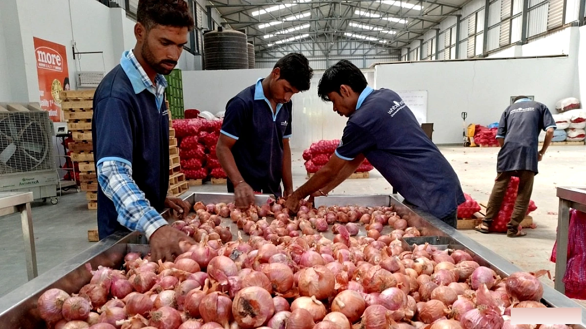 सरकार ने 10 दिनों में 4000 टन बफर स्टॉक प्याज 35 रुपये/किलोग्राम पर बेचा