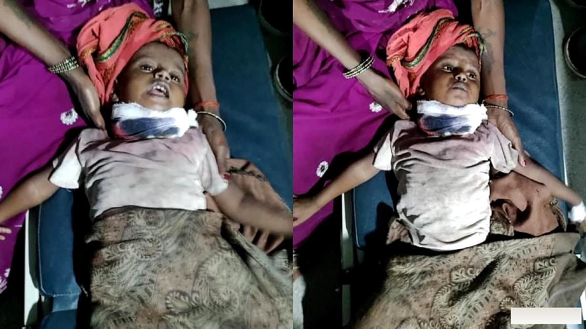 घर के आंगन में घुसकर तेंदुए ने तीन साल की बच्ची को दबोचा; ग्रामीणों ने पीछा कर छुड़ाया