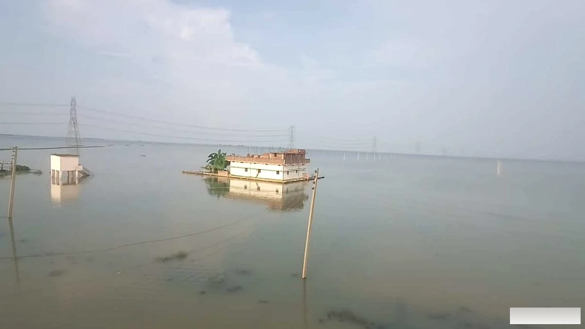 गंगा के बैकवाटर ने मचाई तबाही, नालंदा में 5 फीट पानी में डूबी 200 बीघे धान की फसल