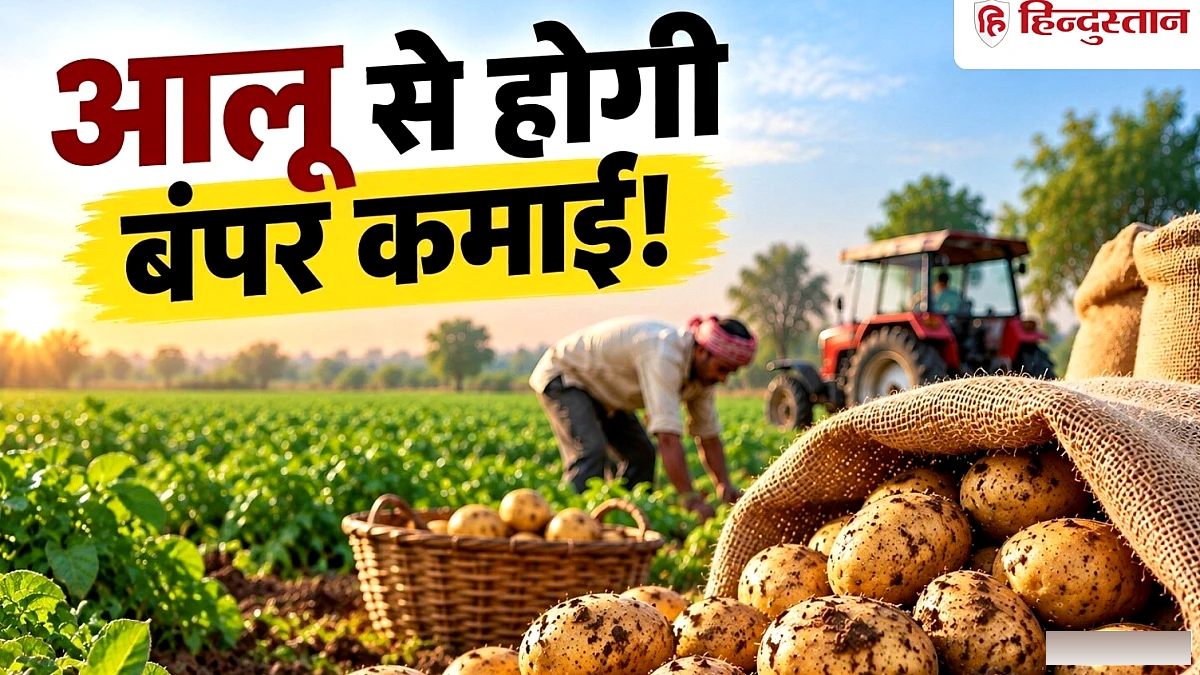त्योहारों में आलू से बंपर कमाई का मौका: किसान अब करें तैयारी