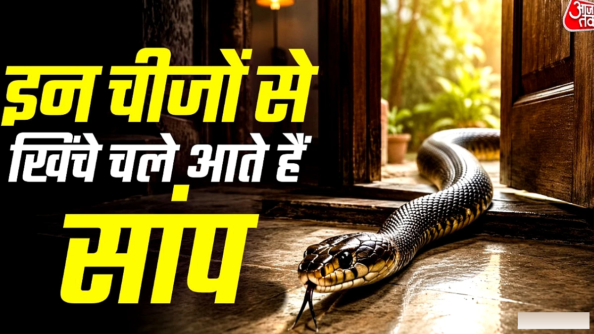 बारिश में इन गंधों से आकर्षित होते हैं साँप, जानिए क्या है कारण