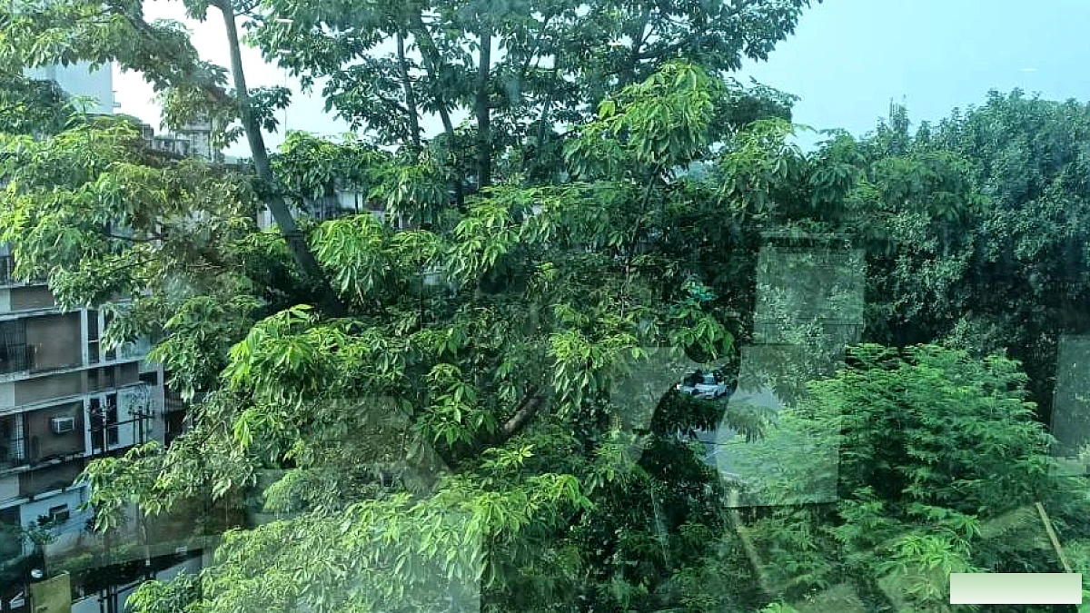 मानसून की लहरें घटीं, भारी बारिश पर रोक; गर्मी-उमस से होगी नई चुनौती, अगले 7 दिन का पूर्वानुमान
