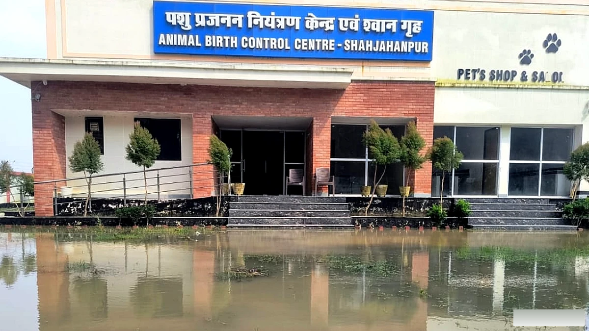 एनिमल बर्थ कंट्रोल सेंटर परिसर में भरा पानी, कुत्तों को छोड़कर निकल गया स्टाफ