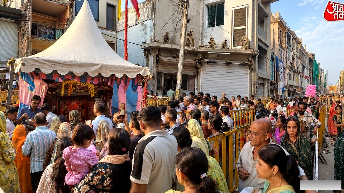 उज्जैन के खड़े हनुमान मंदिर में लंगूरों की अचानक उपस्थिति, 8,000 से अधिक श्रद्धालु जमा