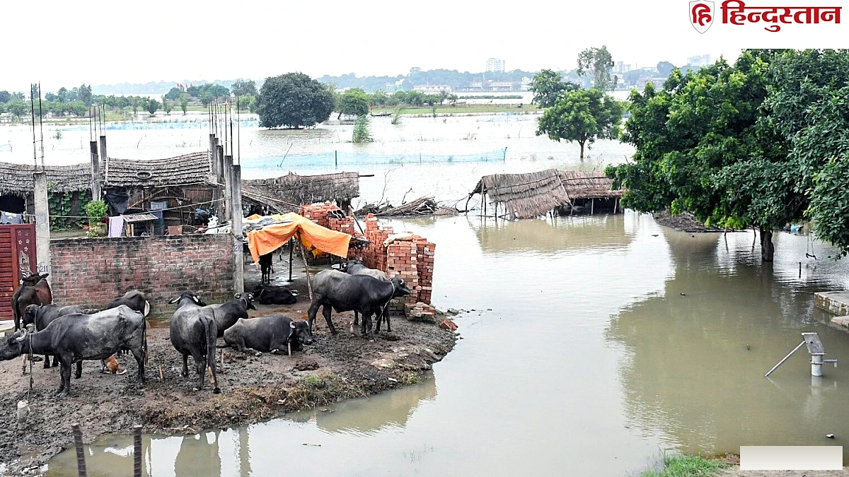 कानपुर में गंगा का उफान, 12 गांव जलमग्न; मुरादाबाद में नदियों का जलस्तर घटा, कटान का खतरा बढ़ा