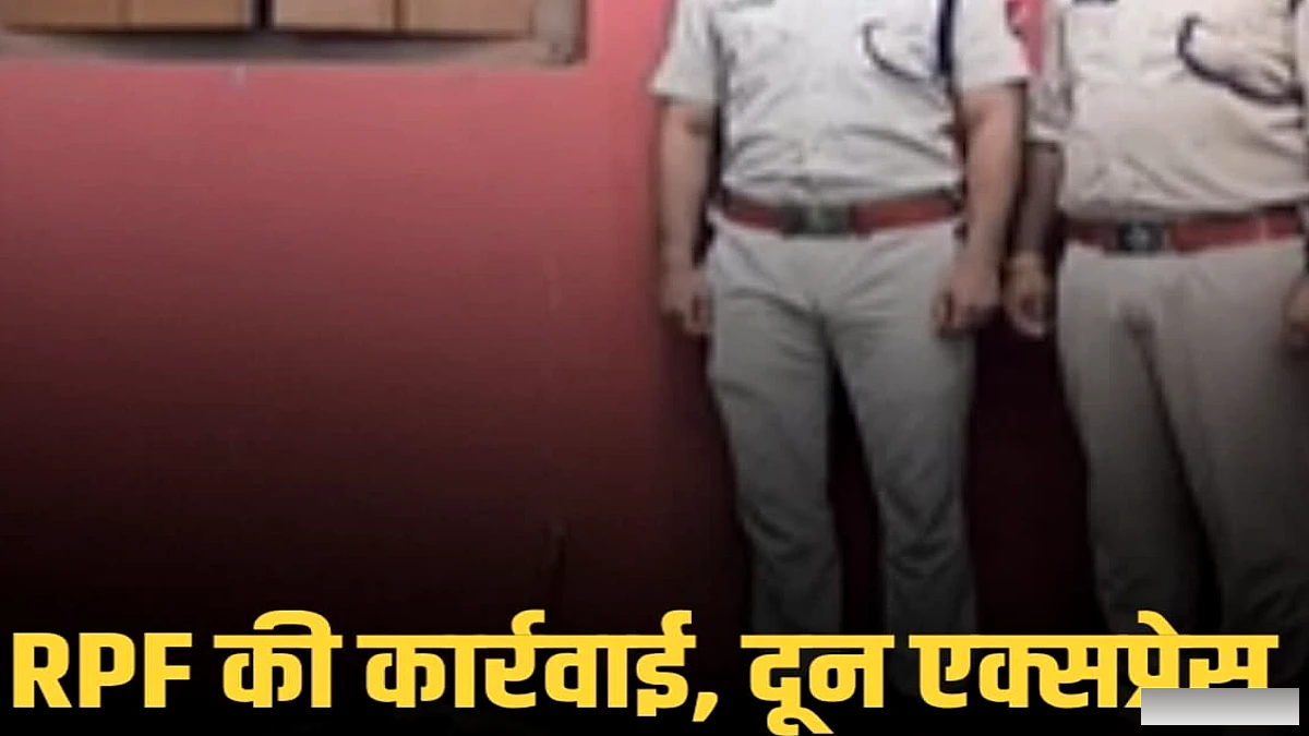 RPF ने गोमो रेल सेक्शन में विशेष खोज अभियान चलाया, दून एक्सप्रेस से 48 कछुए बरामद