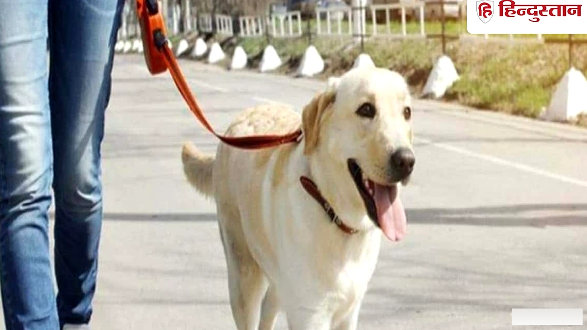 कुत्ता पालने वालों के लिए अच्छी खबर, अब घर बैठे होगा रजिस्ट्रेशन, नगर निगम ने आसान की प्रक्रिया
