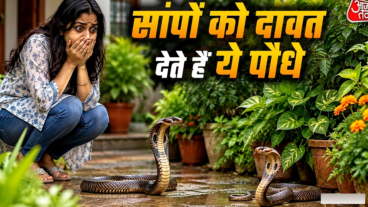 घर के बगीचे में लगने वाले कुछ पौधे क्यों आकर्षित करते हैं साँपों को – सुरक्षा के उपाय