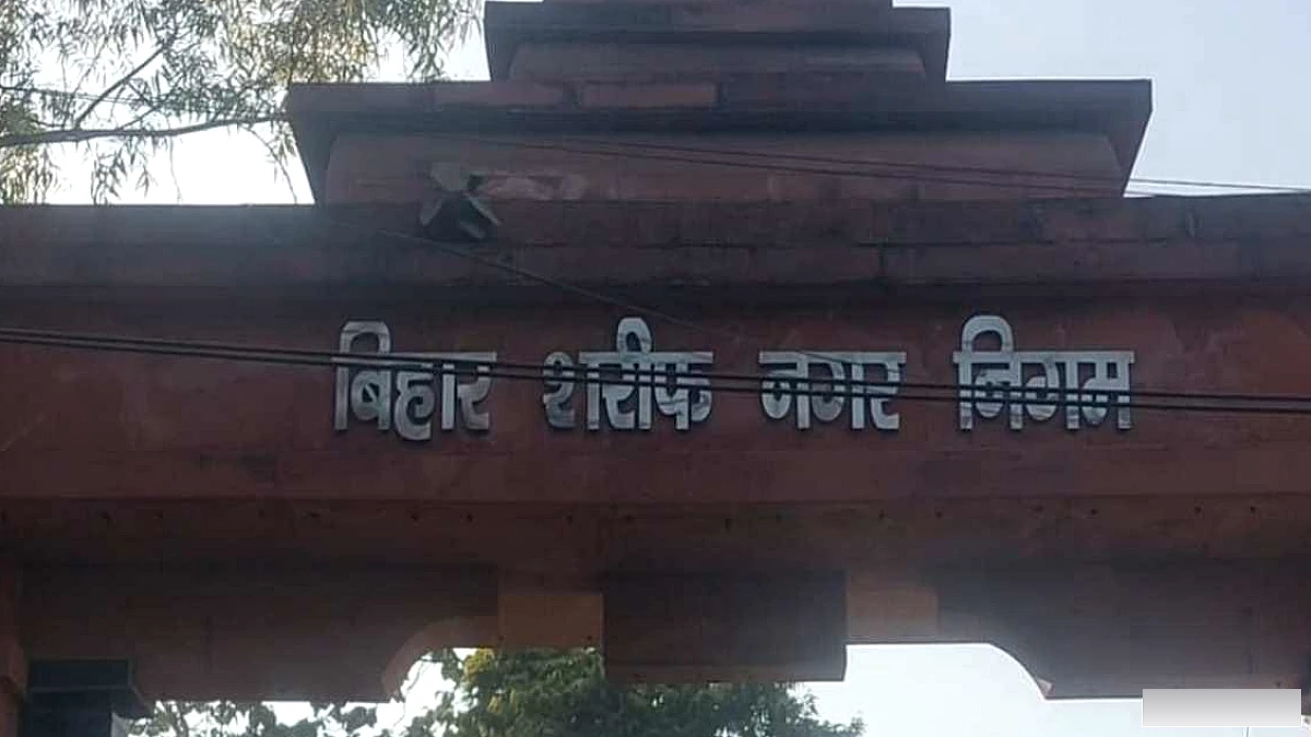 बिहारशरीफ में आवारा कुत्तों का आतंक घटा, नगर निगम ने अभियान शुरू किया; पहले दिन 6 कुत्ते पकड़े
