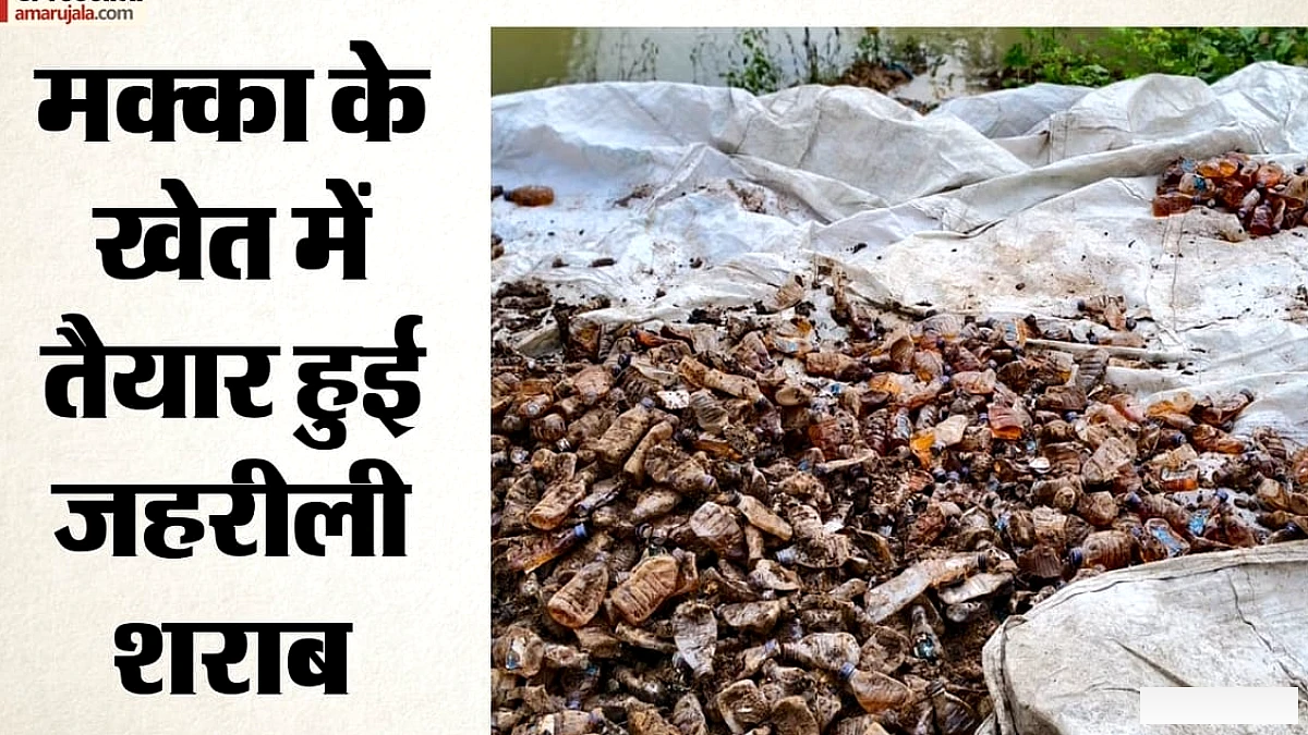 सागर जहरीली शराब कांड में खुलासा: बच जातीं 3 पेटियां तो सैकड़ों तक पहुंच सकता था मौतों का आंकड़ा, जानें कैसे?