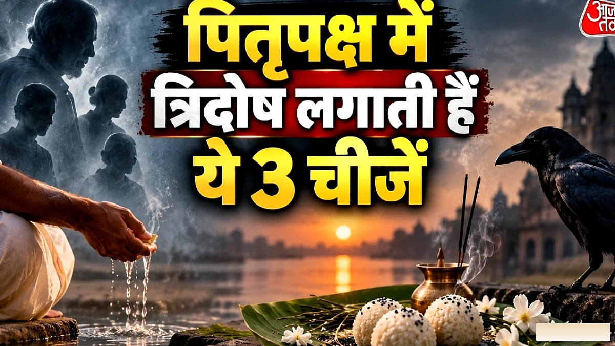 पितृपक्ष में त्रिदोष से बचें: झाड़ू, नमक और सरसों तेल की खरीद से क्यों नहीं लाएँ