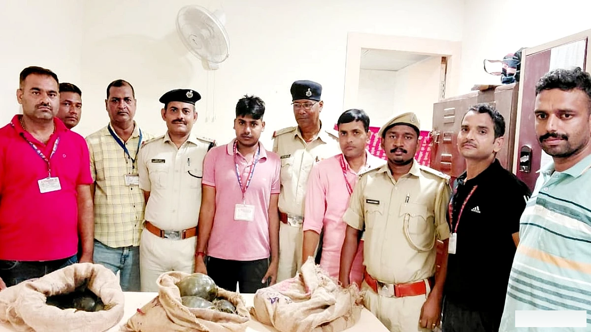 गया जंक्शन पर 45 जीवित कछुए बरामद, तस्करी जांच में