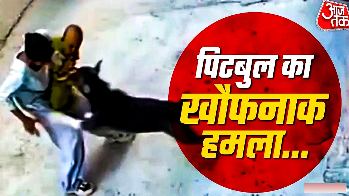 सोनिपत में 6 महीने के शिशु पर पिटबुल का हमला, CCTV ने दिखाया हाहाकार