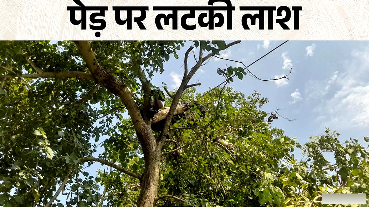 बिजली लाइन की चपेट में लकड़ी तोड़ते हुए युवक की मौके पर मौत, परिवार में शोक