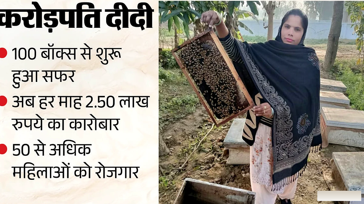 बरेली की पहली करोड़पति दीदी बनीं सुशीला, मधुमक्खी पालन से लिखी आत्मनिर्भरता की नई मिसाल