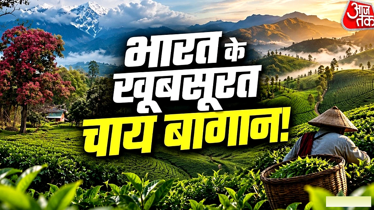 भारत के शीर्ष चाय बागान – यात्रा की बेस्ट लिस्ट