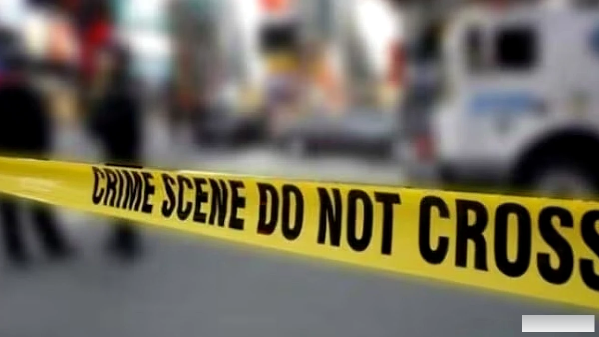 मेरठ में पेंशन‑मोबाइल के झगड़े में 65 साल की महिला ने बेटे‑पोते पर जलाया, फिर खुद को लटका कर आत्महत्या की