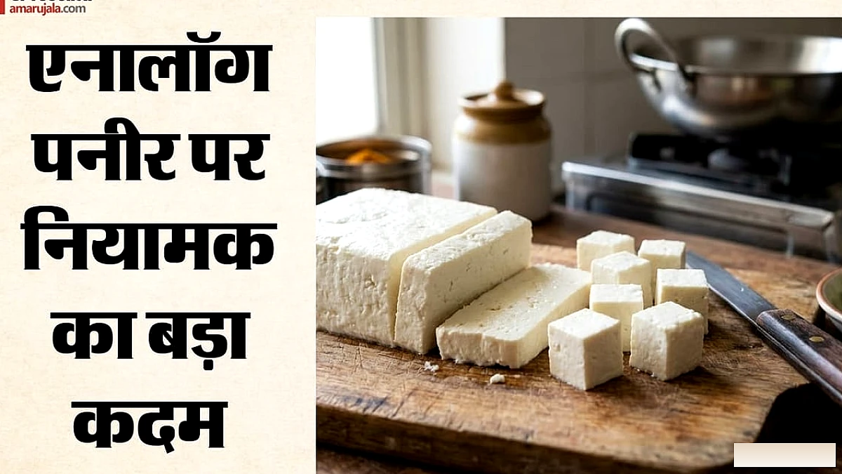 एनालॉग पनीर से ‘पनीर’ शब्द का उपयोग बंद, लेबलिंग बदलनी होगी