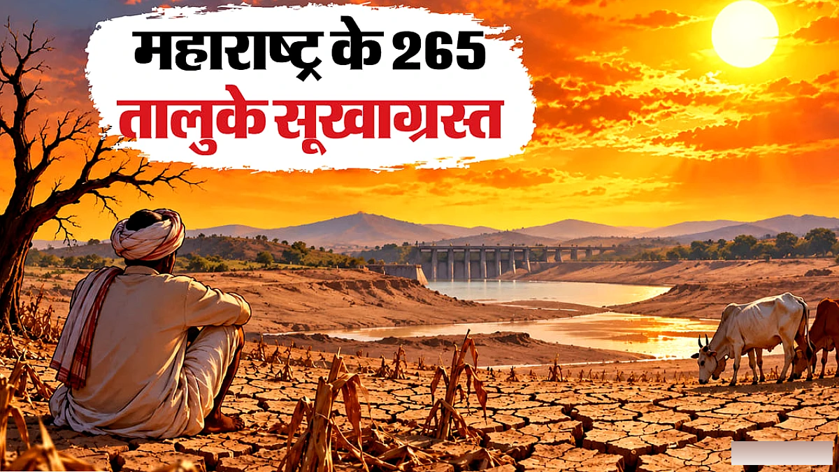 महाराष्ट्र में बारिश के बावजूद सूखे की स्थिति बनी, 358 में से 265 तालुका सूखाग्रस्त घोषित, किसान फसल बर्बादी से परेशान