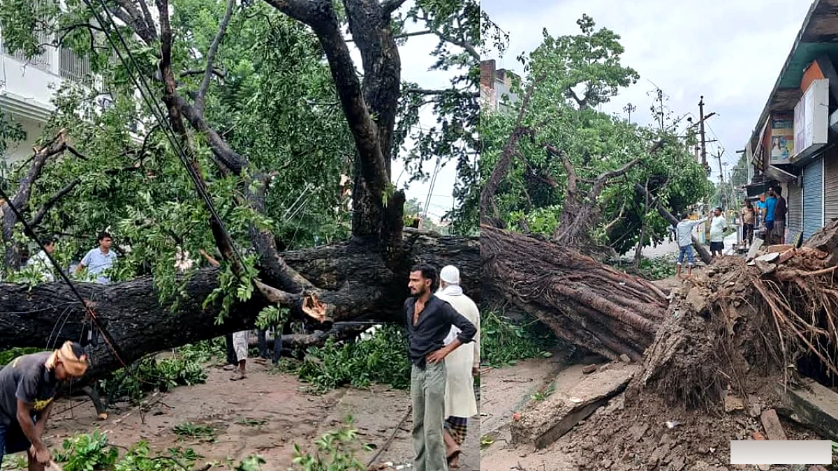 बक्सर में आंधी‑बारिश से गिरे विशाल पेड़, सड़कें जाम और बिजली‑पानी की कमी