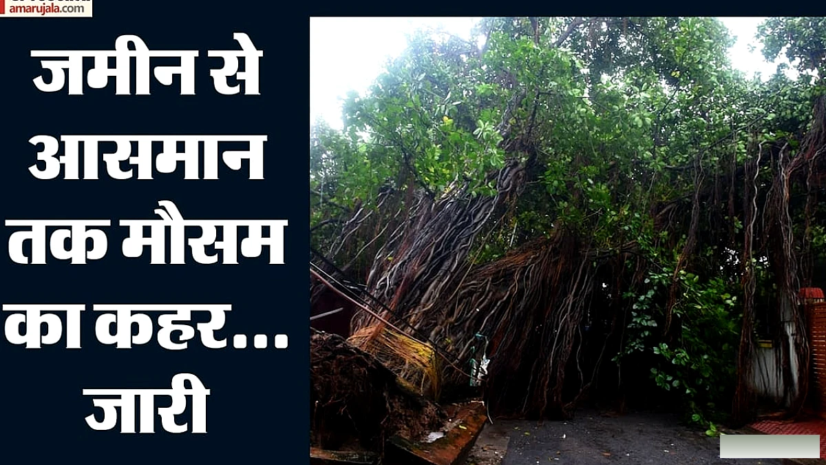 पहाड़ से मैदान तक बाढ़: यूपी में 58 मौत, हिमाचल में बर्फ, ओडिशा में 13 जिलों में बाढ़