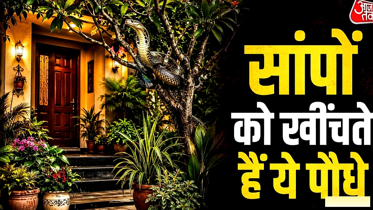 साँपों को आकर्षित करने वाले 5 आम पौधे – बचाव के आसान उपाय