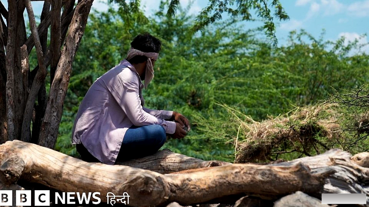 यमन के ताइज़ में युद्ध के बीच जनजीवन की वास्तविकता