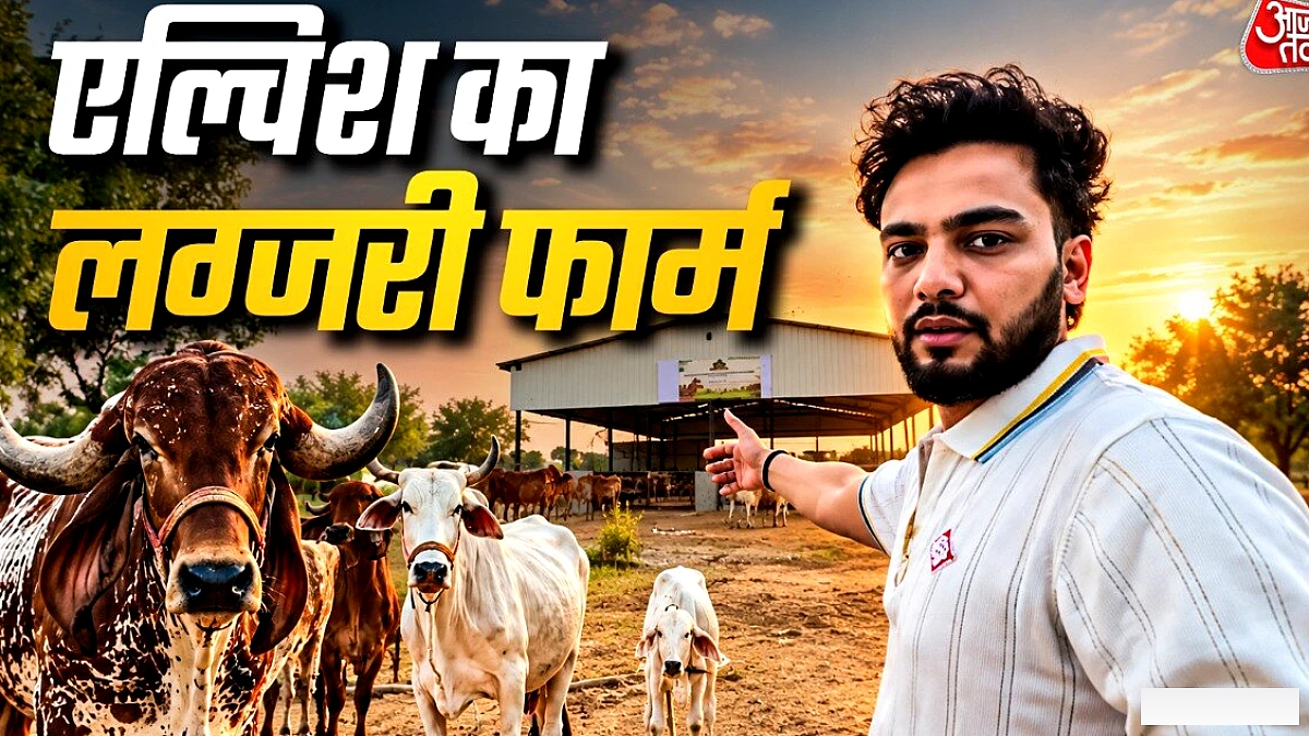 इंस्टाग्राम स्टार एल्विश यादव ने दिखाया अपना 'नमो नारायण' फार्म, बंधी गायों की झलक