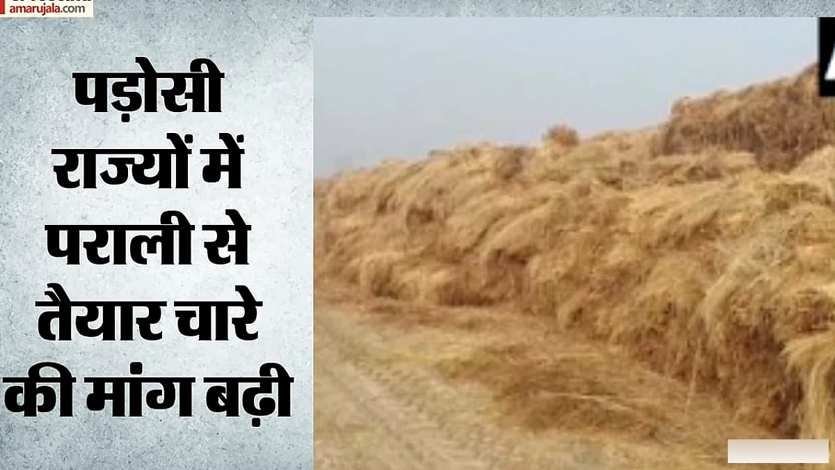 हरियाणा में पराली से 200 करोड़ का कारोबार, हजारों को रोजगार