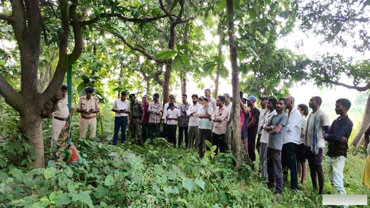 शेखपुरा में पेड़ से लटकता मिला महिला का शव, सोशल मीडिया के जरिए हुई पहचान