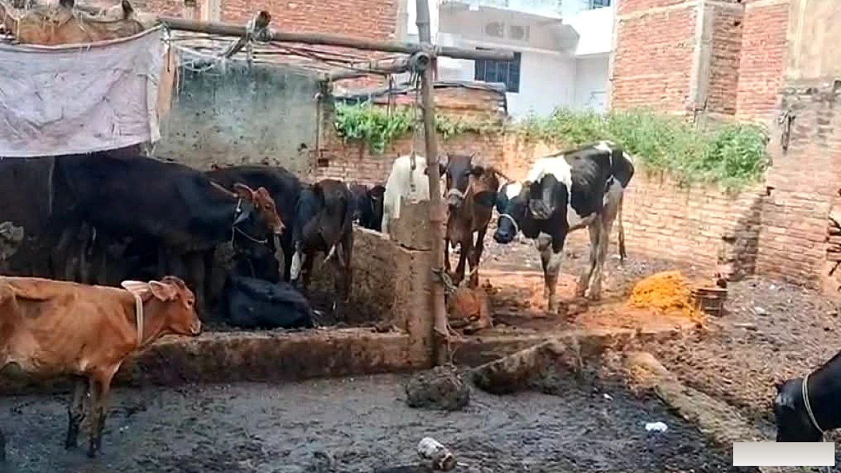 बक्सर में अवैध बूचड़खाने पर प्रशासन ने छापा, प्रतिबंधित मांस समेत कई वस्तुएँ बरामद