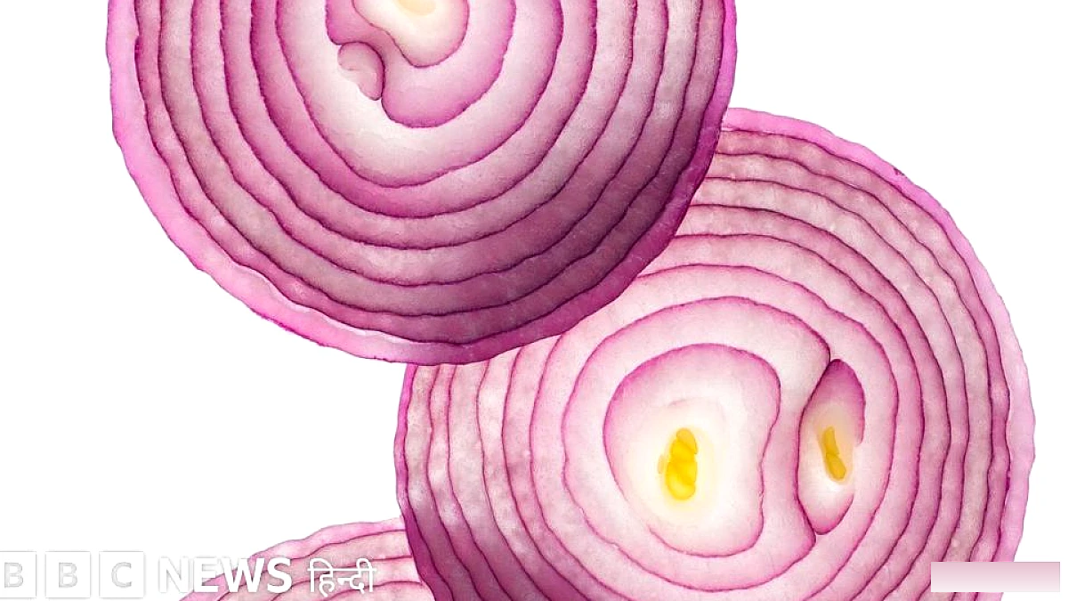 क्या पैरों में कच्चा प्याज़ रखने से ज़ुकाम और बुख़ार ठीक होता है?