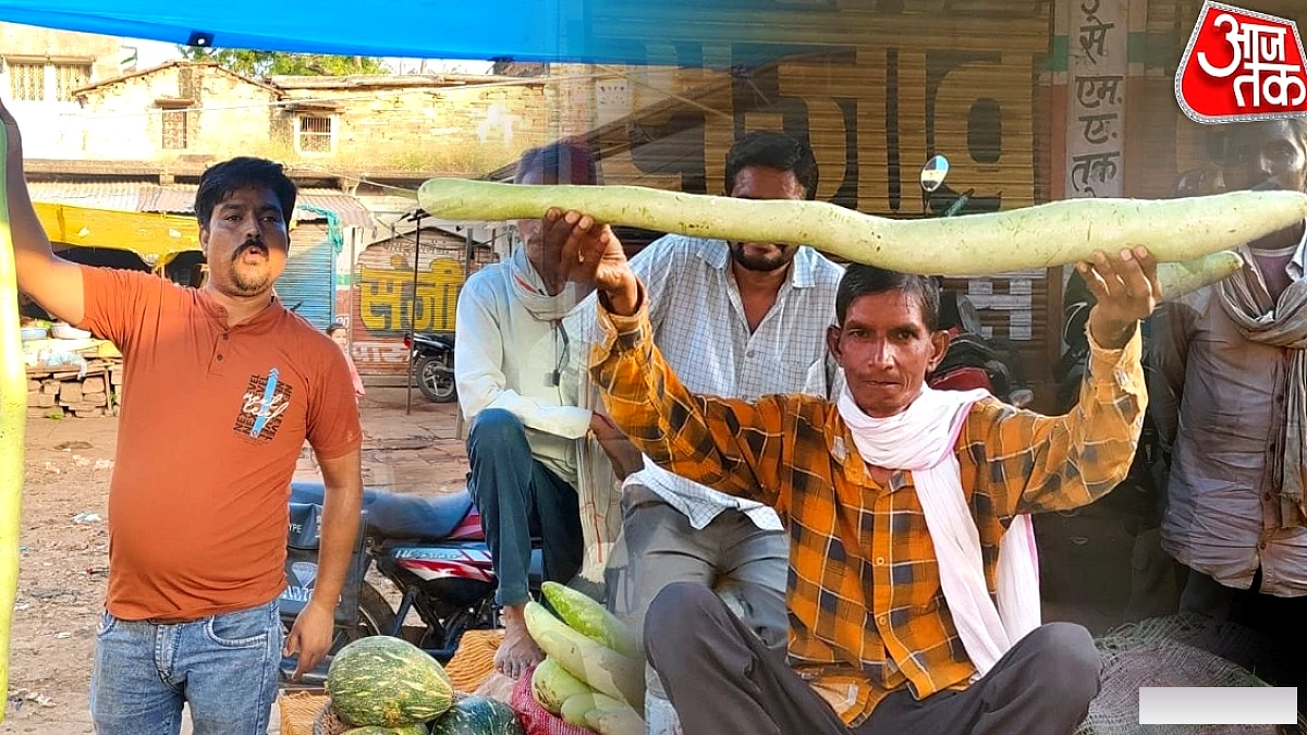 सरमथुरा की सब्जी मंडी में 4 फीट लंबी लौकी, लोगों ने ली सेल्फी