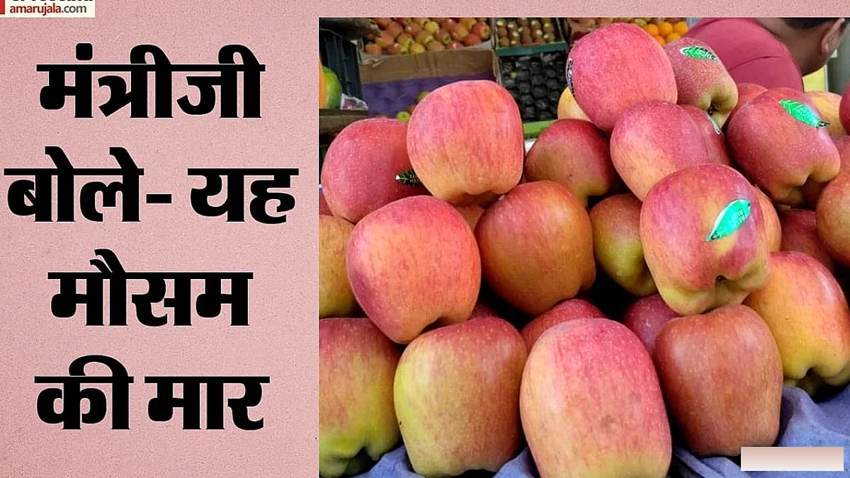 सेब की पैदावार में 40% गिरावट, हिमाचल प्रदेश और जम्मू‑कश्मीर में मौसम की मार