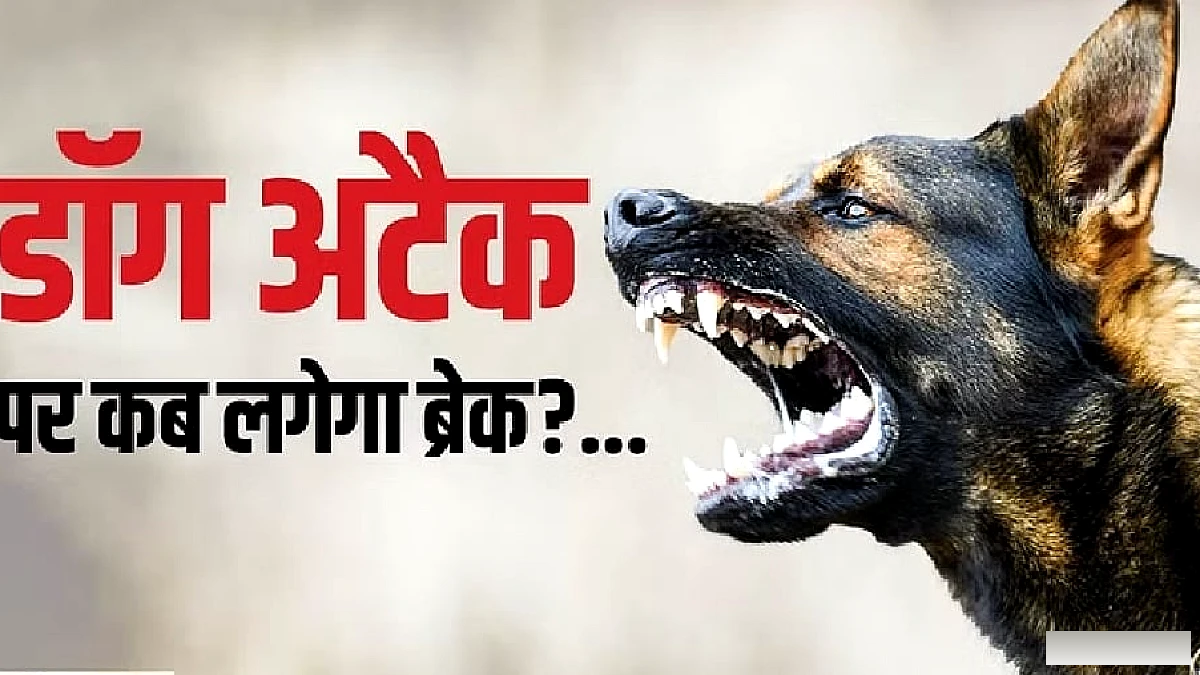 कुत्तों के हमलों में बढ़ोतरी: प्रतिबंधित नस्लों की बिक्री जारी, नियम तो हैं पर निगरानी क्यों नहीं?
