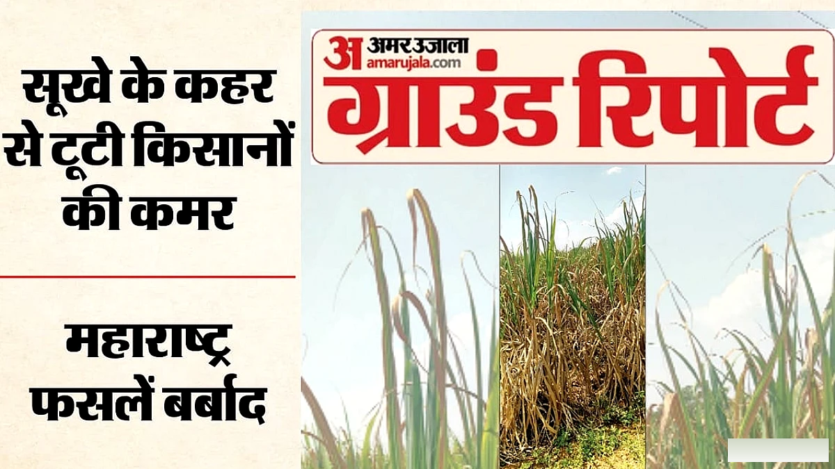 महाराष्ट्र के किसानों की अंतहीन पीड़ा: फसल से ही घर खर्च, बच्चों की पढ़ाई सबकुछ होनी थी; अब कुछ नहीं बचा