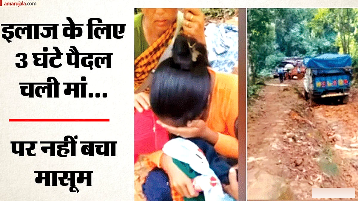 मेघालय में 3 घंटे पैदल चलकर मां ने बेटे को बचाने की कोशिश की, पर वाहन नहीं पहुंचा; मासूम ने गोद में ही दम तोड़ा
