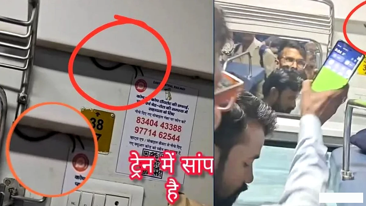 स्वतंत्रता सेनानी एक्सप्रेस के एसी कोच में मिला सांप, सीट के नीचे रेंगता हुआ दिखा; पूरी बोगी में हड़कंप