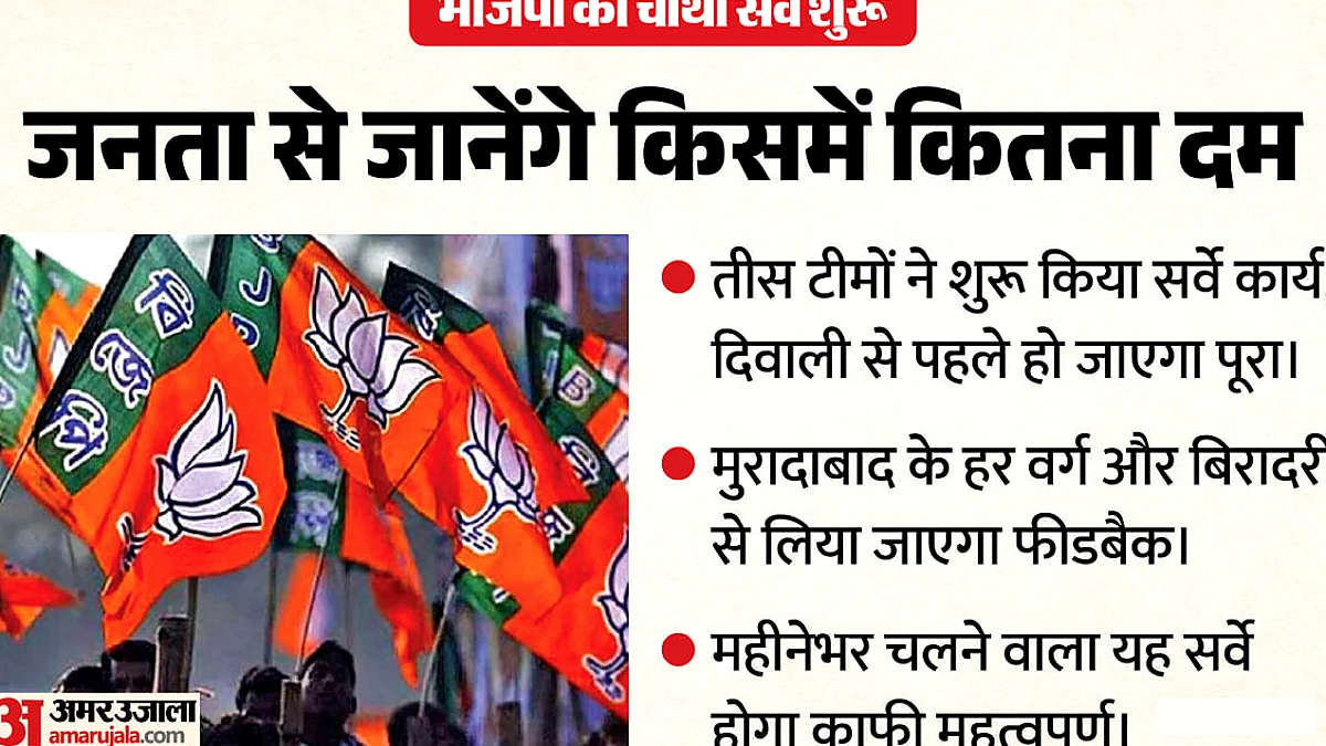 उम्मीदवार चुनने से पहले गहरी जाँच