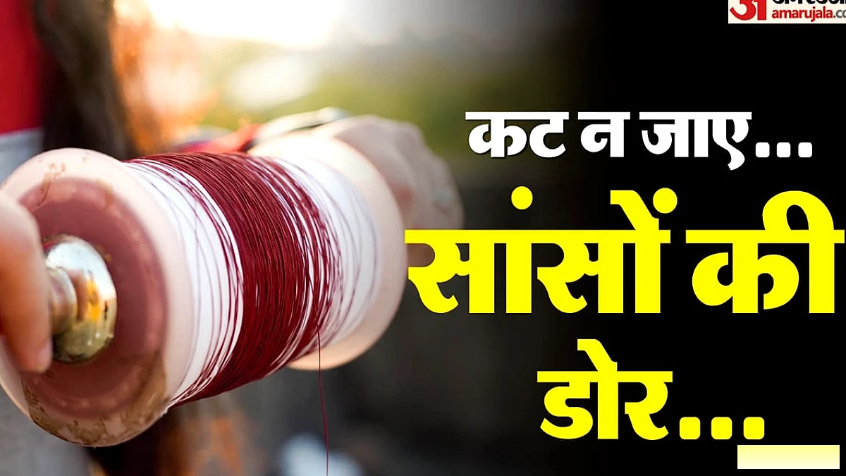 हाईकोर्ट में चाइनीज मांझे पर सुनवाई; ऑनलाइन उपलब्धता पर जवाब