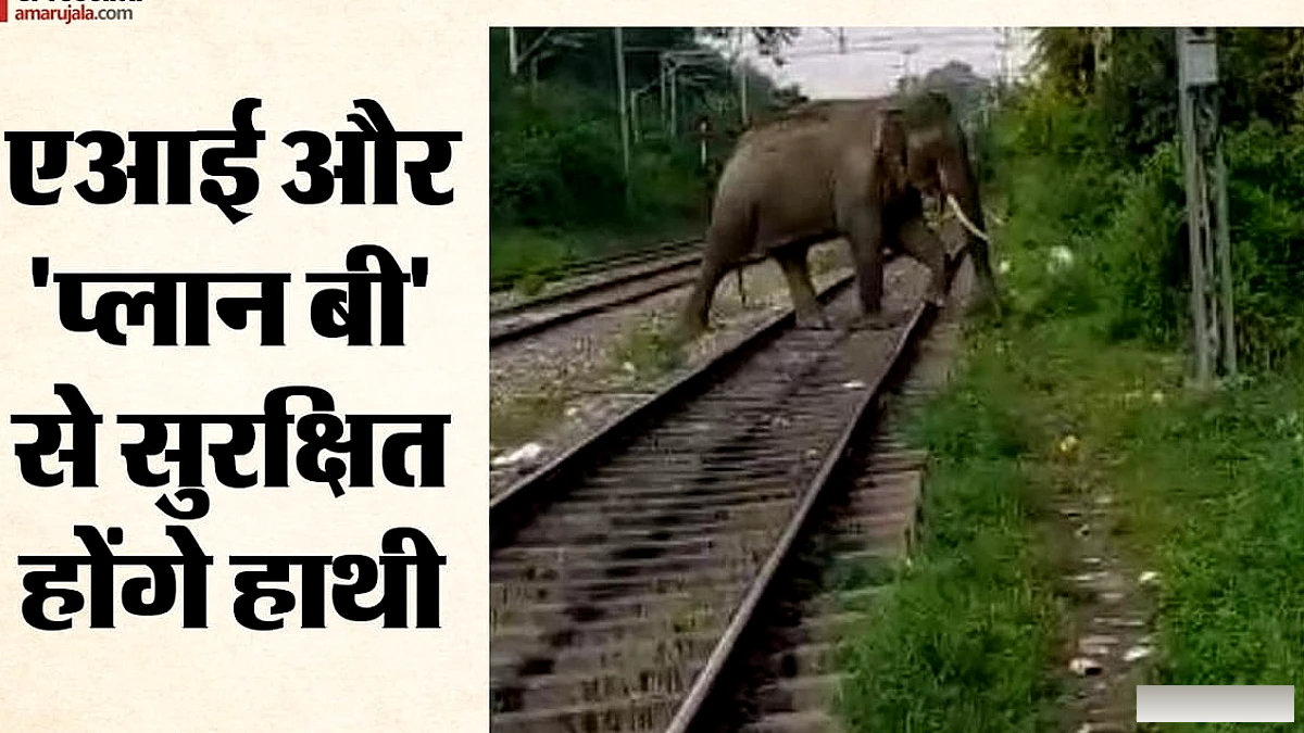 रेलवे ने लागू किया नया अलर्ट सिस्टम, ट्रैक पर हाथियों की एंट्री पर तुरंत मिलेगा चेतावनी, ‘प्लान बी’ से टलेगी टक्कर