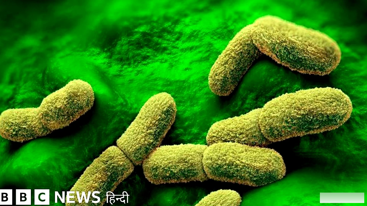 रूस में प्लेग शोध लैब तकनीशियन की मृत्यु, अमेरिका ने स्थिति पर नज़र रखी