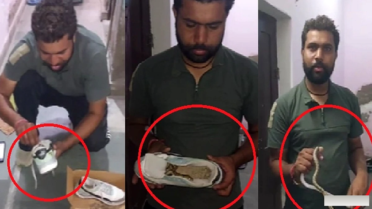 सांप जूते में मिला, युवक ने तुरंत रेस्क्यू टीम को सूचित किया