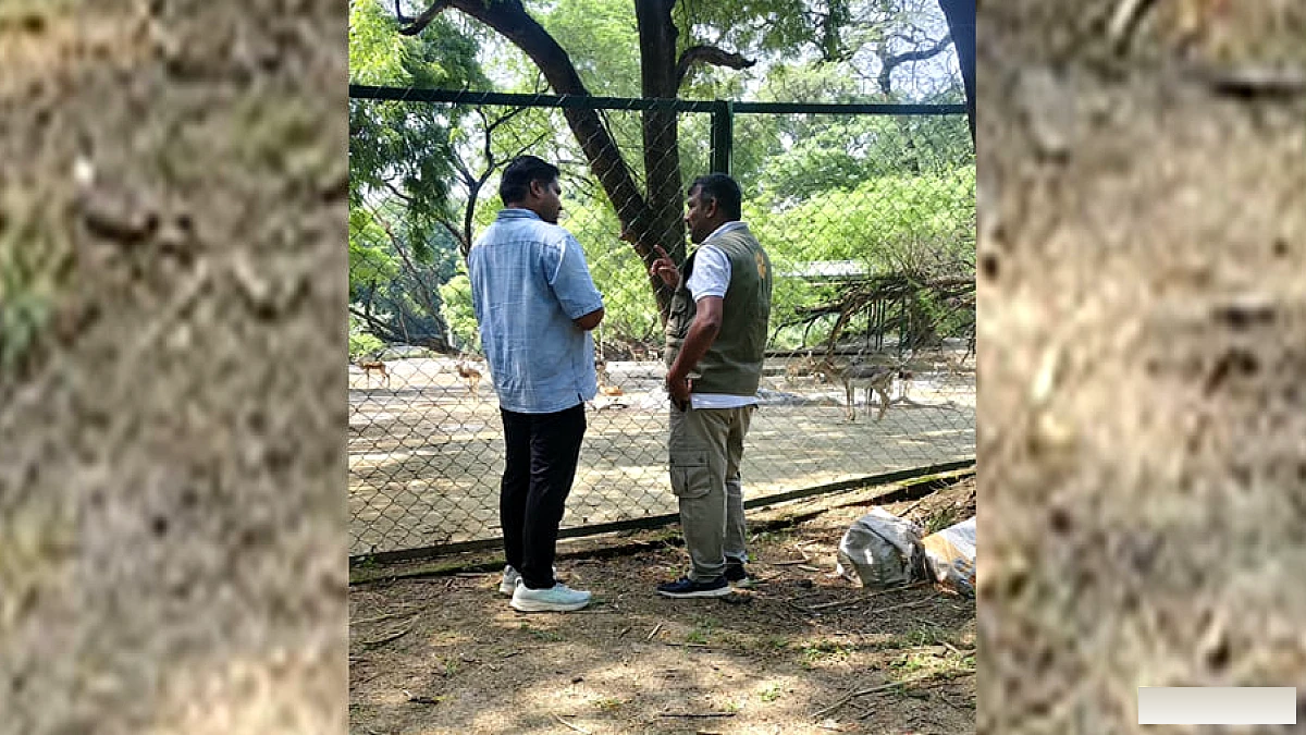 कानपुर के चिड़ियाघर में हिरणों को हीमोप्रोटोजोआ संक्रमण, चार काले हिरणों की मौत