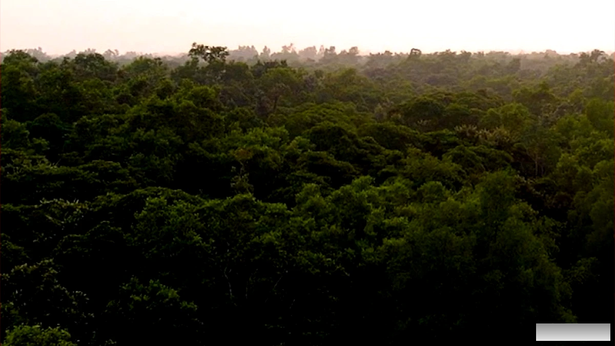 खूबसूरती के साथ छुपे हैं खतरें, सावधानी जरूरी